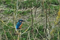 19 03 15_2552_edited-1
